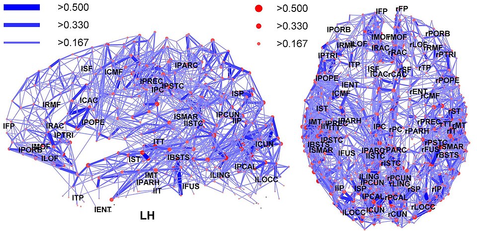 Mapa mozgovej konektivity