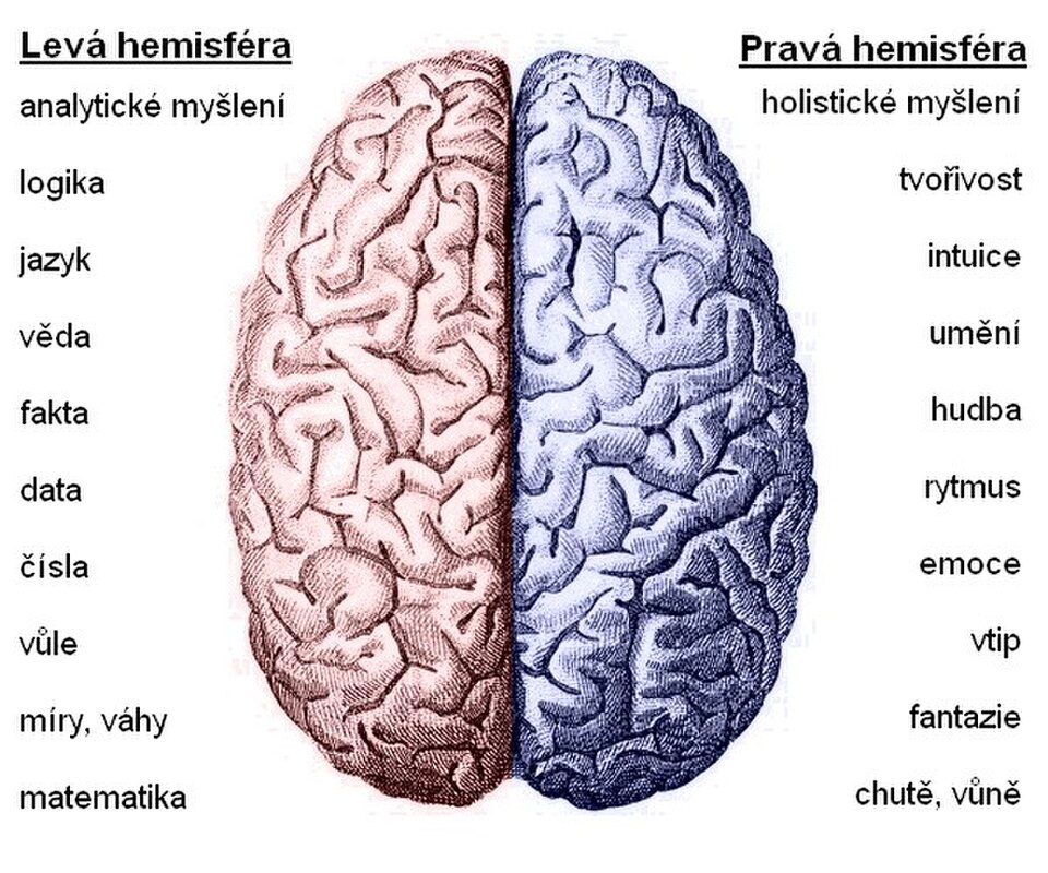 Hemisféry mozgu